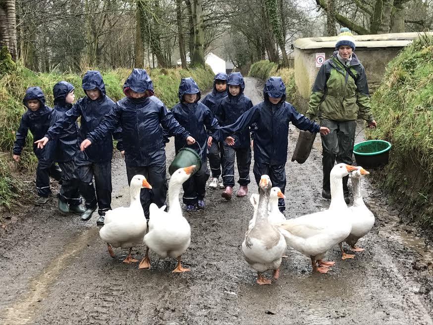 Nethercott Jan 2018 Geese.jpg